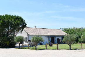 Mas Trinita Gîte équestre en Camargue